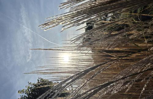 NEU Apartmenthaus-Usedom Familie Stopp Kajüte 7 - Balkon - strandnah - Foto 21