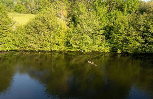 H Oxencombe Farm House - Foto 17