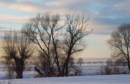 Ferienwohnung Leineufer - Foto 12