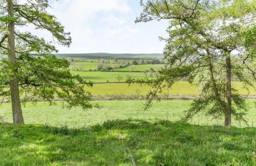 Berts Cottage - Foto 23