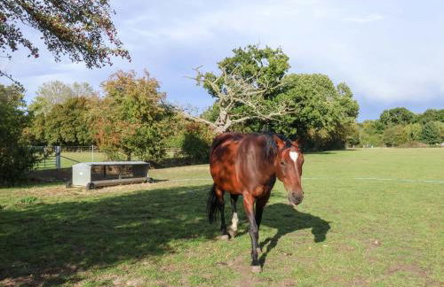 Coachman's Cottage - Foto 31