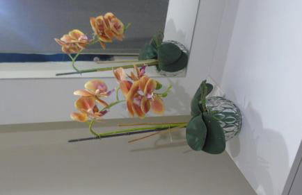 Casa com garagem entrada individual, próximo ao Hospital do câncer e faculdades - Foto 73