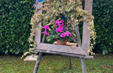 Assisi, la Noce - Foto 18