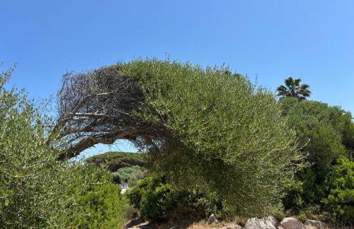 Case sul mare - Foto 16