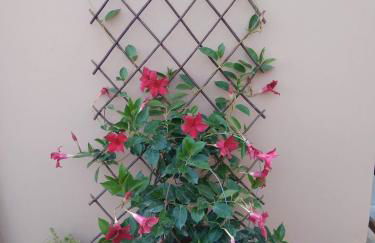 Villa Lou Corfu - Kalivioti Beach - Foto 38