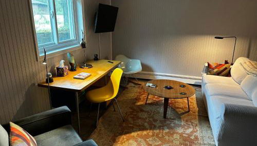 Mid-Century DJs Dream near Rhinebeck - Foto 2