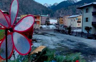 CASETTA INDIPENDENTE NEL VERDE PER 2/3 PERSONE - Photo 14