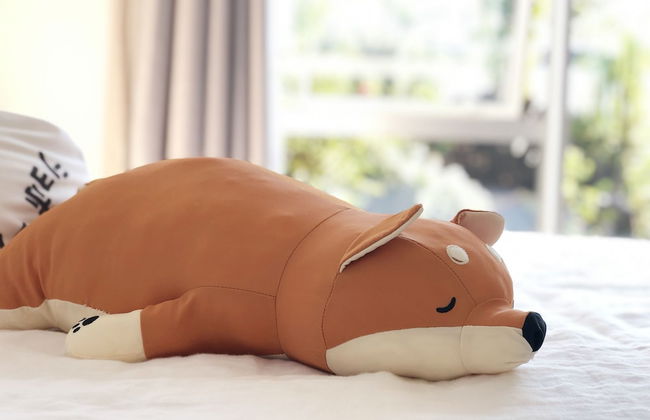 Modern Coastal Home & Award-winning Golf - Foto 3