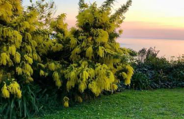 Villa Mare con Piscina - Foto 40