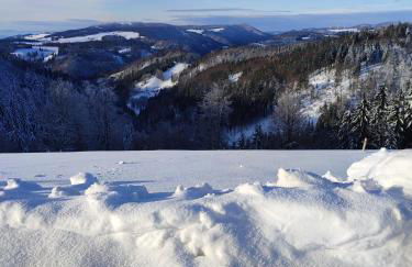 Feldbergsicht - Foto 2