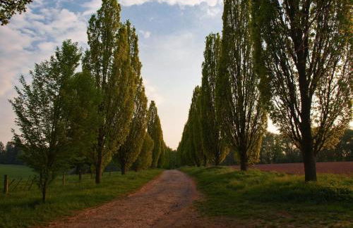 Apartment Fewo Hoppenhof 1 by Interhome - Foto 19