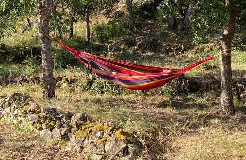 RIBES - Chalet Gîte au coeur de la nature - Foto 19