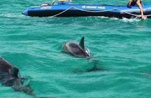 Aparts da Praia Grande 303 - Foto 25