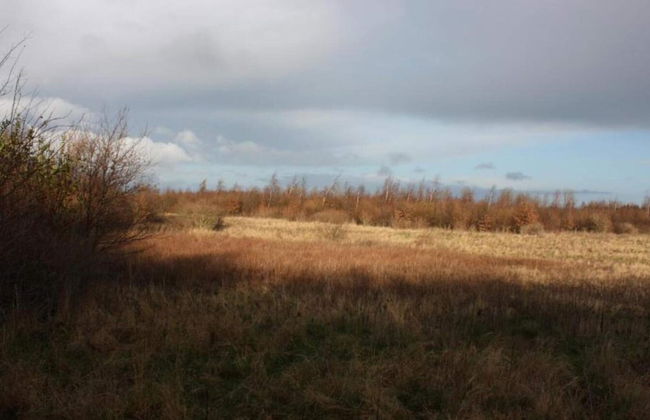 Tranquil Seaside Haven-by Traum - Foto 4