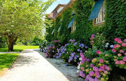 Orion Guest Villa Casais - Foto 73