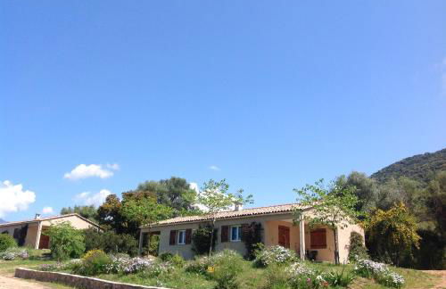 Residence Cucunacciu - Foto 26