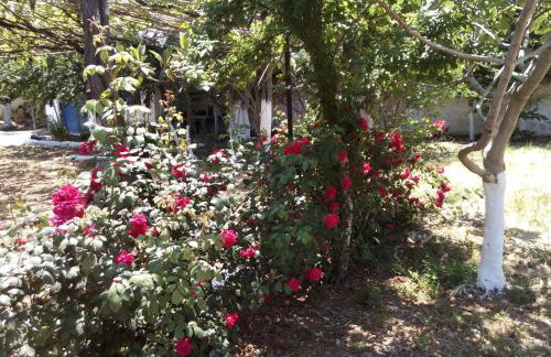 Studios Akrogiali - Photo 18