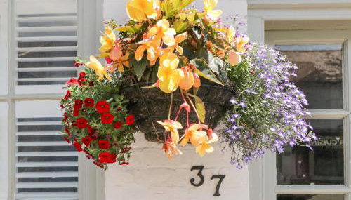 Cuckoo Cottage - Photo 4