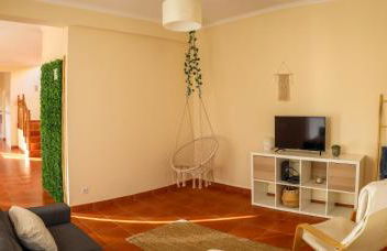 O DRAGOEIRO da Madalena! - Foto 15