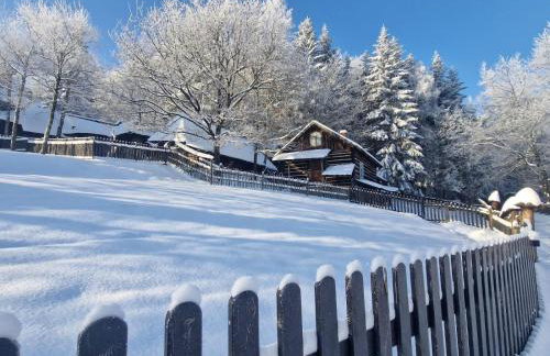 Bacówka Biały Jeleń - Photo 58