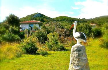 Kyra's Paradise - Foto 10