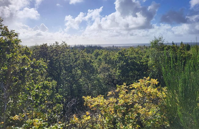 Holiday Home in Nørre Nebel - Foto 12