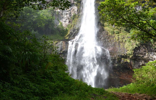 Kayak on Três Forquilhas River - Photo 5