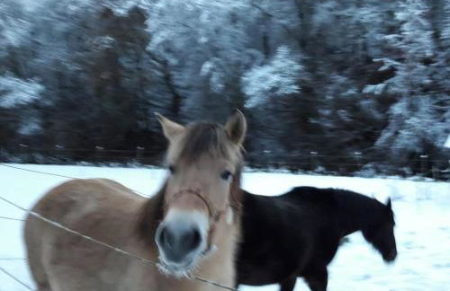 Neumühle from April 2014! - Foto 18