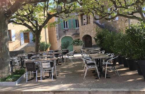 La salamandre - Foto 24