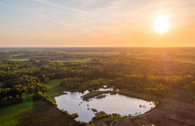Bungalow With Fireplace, not far From Assen - Photo 23