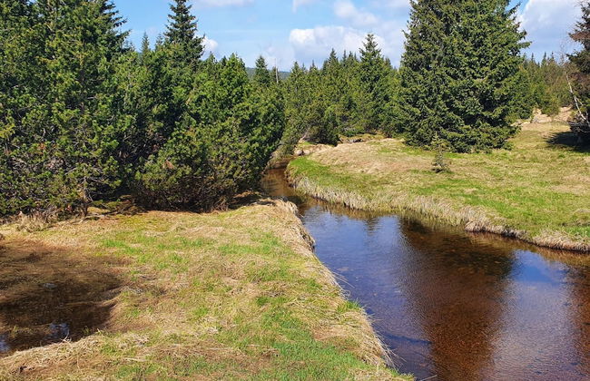 Mountain Chalet Lbh027 - Photo 34