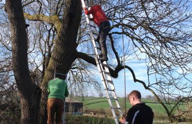Orchard Cottage, Clematis cottages, Stamford. Accessible luxury home. - Foto 24