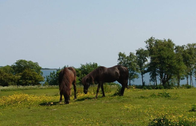 12 Person Holiday Home in Aabenraa-by Traum - Foto 6