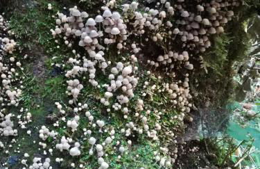 Ferienwohnung Hasenfratz - Foto 16