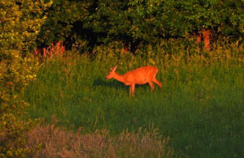 Ostoja nad Gilem - Foto 47