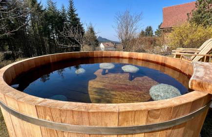 Cabane du Trappeur Wellness Dabo - Photo 1