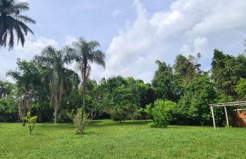 Chácara Santo Antonio - Foto 43