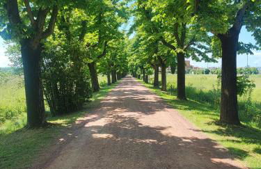 Appartamento in Villa Aulla - Foto 47