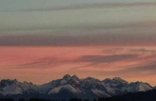 Ferienwohnung Mayr - Photo 24