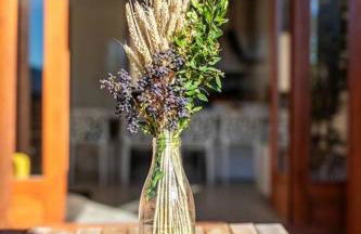 Casa Nieves - Photo 64