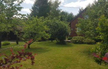 Szyszka i Róża Domek na Jurze - Foto 31