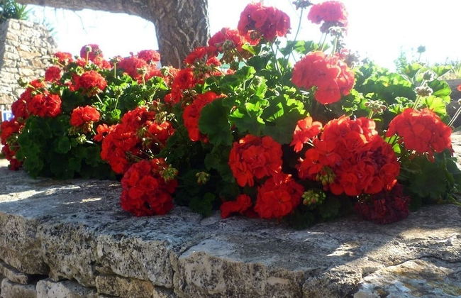 Agriturismo Regno di Marzagaglia - Foto 43