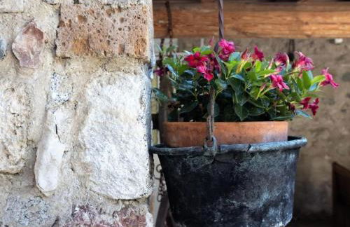 Apartment Casa Rita AP- 1 - Gardasee - by Interhome - Photo 30