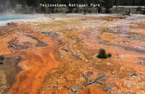 Brand NEW Cabin in the pines - Foto 8