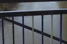 Leineblick - Foto 30