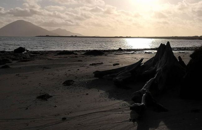 Nature Retreat - Sleeps 4 & Wild Ponies - Foto 16