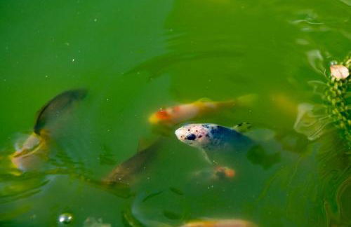 The Studio - Foto 42