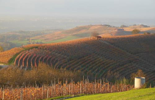 Agriturismo Affittacamere Barbarossa - Foto 61