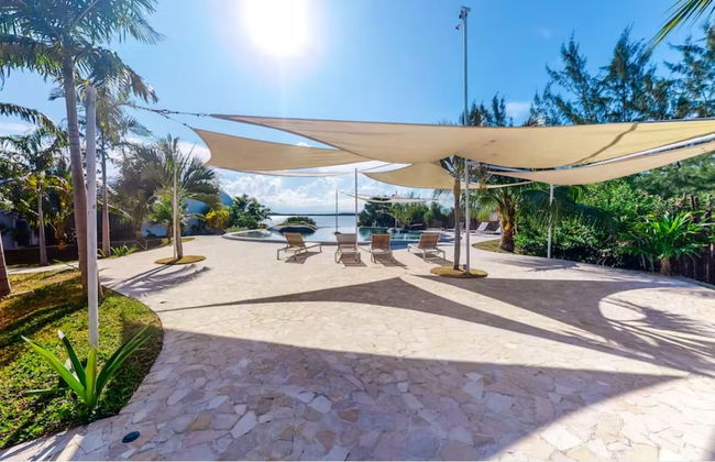 Alterhome Turtle Studio - Foto 16