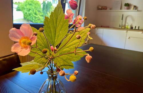 Odw homes - Large country house with three apartments and garden - Photo 40